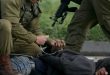 Two Palestinians arrested in the West Bank