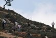 מתנחלים תקפו פלסטינים במזרח רמאללה